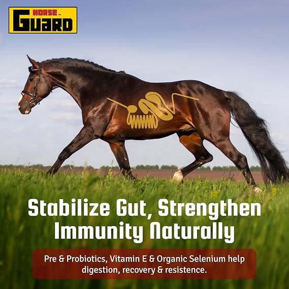 Horse Guard Super Weight Gain 10 lb 3-in-1 Horse Weight Gain Supplement with Full-Fat Soy, Probiotics & Vitamins Supports Digestion, Coat & Muscle Health 20 Servings