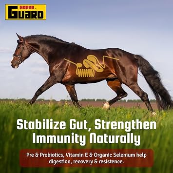 Horse Guard Super Weight Gain 10 lb 3-in-1 Horse Weight Gain Supplement with Full-Fat Soy, Probiotics & Vitamins Supports Digestion, Coat & Muscle Health 20 Servings