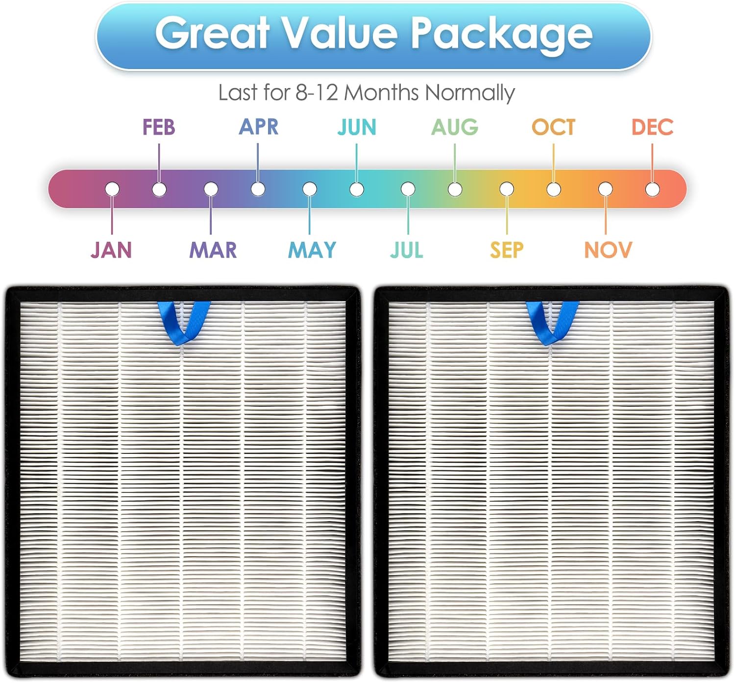 Image showing two BRUVISH Vital 100S replacement filters with a timeline indicating typical replacement intervals of 8-12 months, with months marked from January to December.