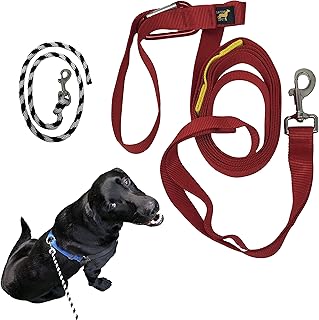 Anti leash pulling trainer Clearance