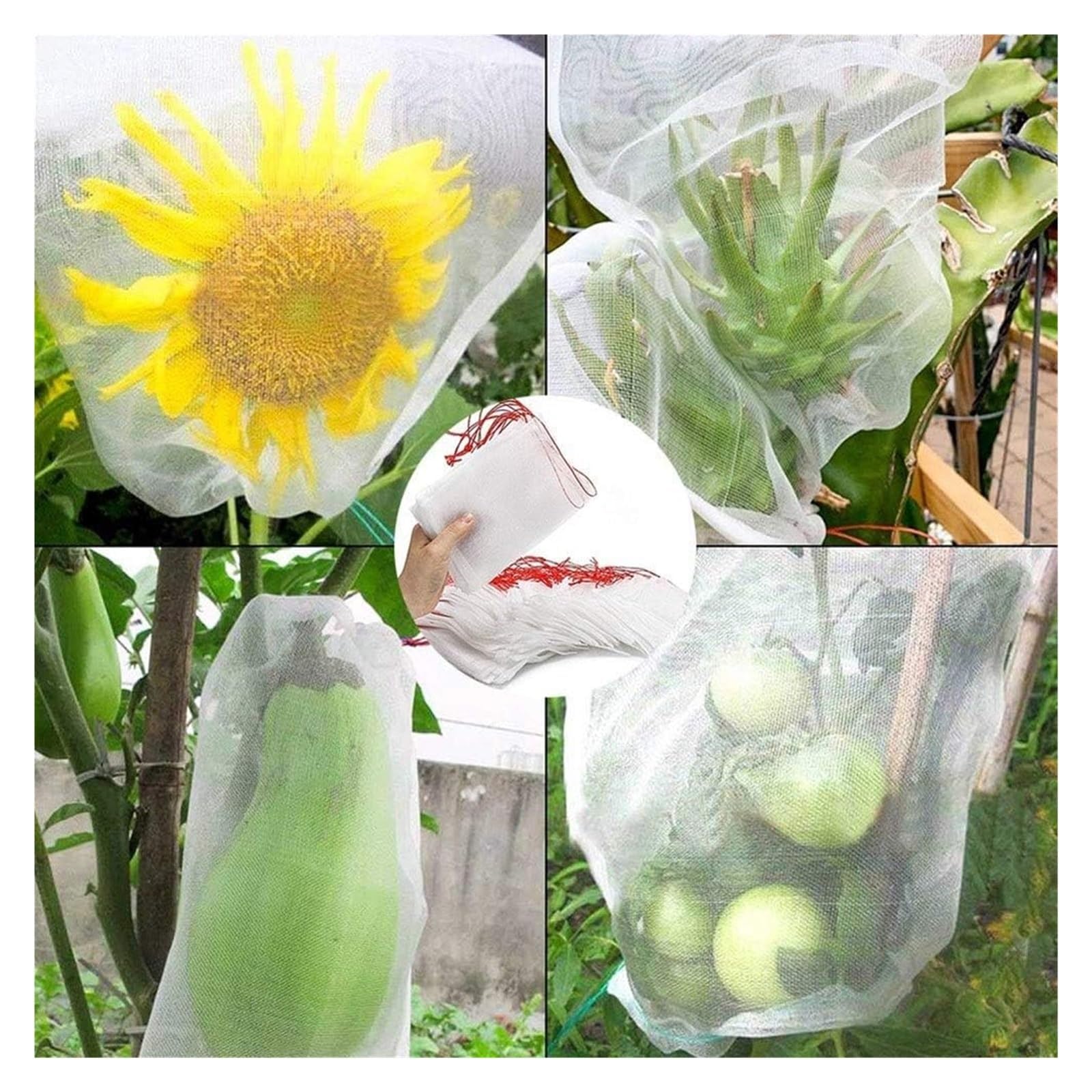 Bolsas Protectoras contra Insectos para Uvas, Bolsas Reutilizables for Frutas, 50 Unidades, multifunción, antiinsectos, antiaves y repelentes de Insectos(25x15cm)
