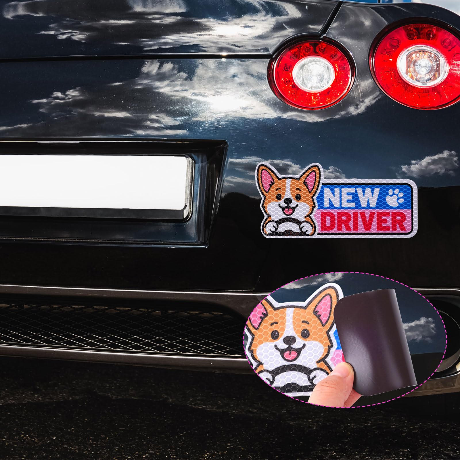 lasuroa 4pz Magneti Auto Corgi Divertente New Driver, Cartelli Riflettenti Studente Gatto Cartoon Carino Adesivi Magnetici Paraurti Riutilizzabili Avviso Sicurezza per Regali Principiante Neopatentato