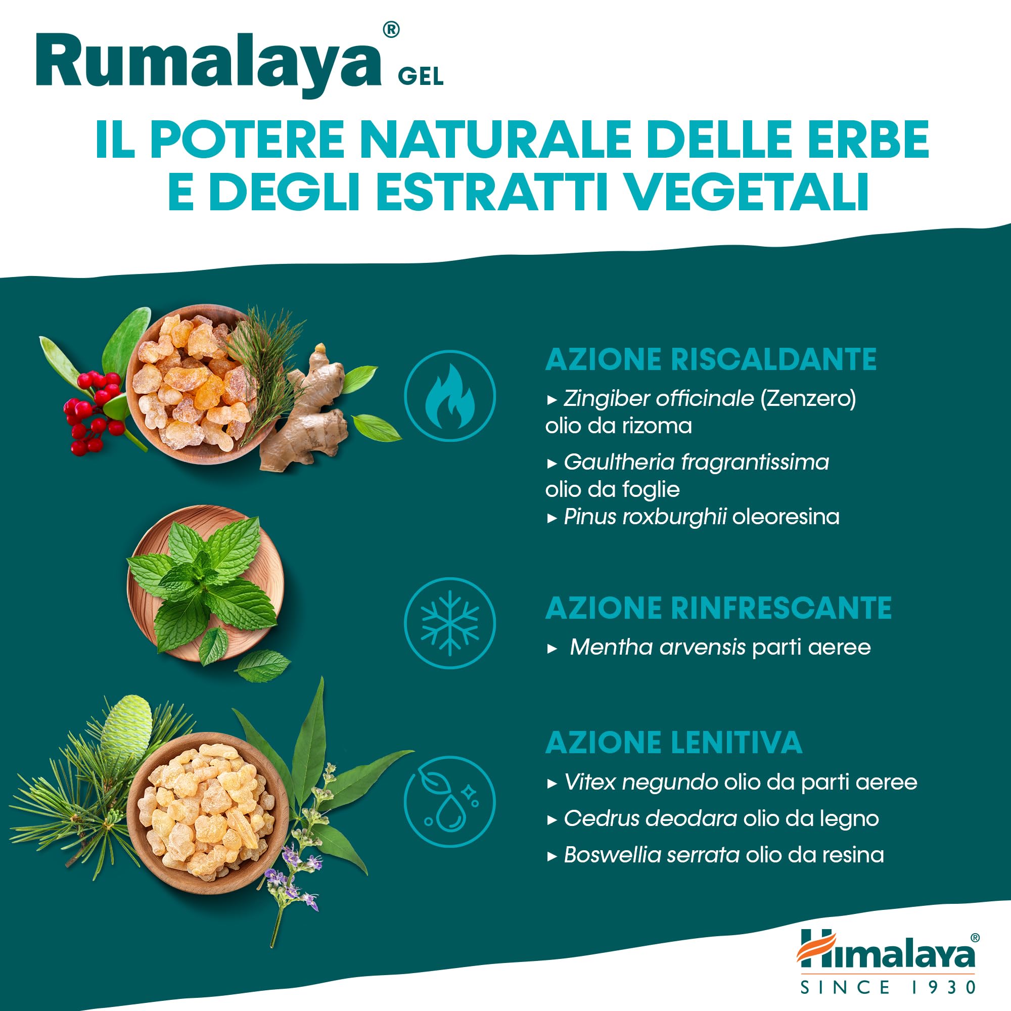 Himalaya Rumalaya Beruhigendes Gel, Massagegel ad azione rapida per una forte vitalità 50 g