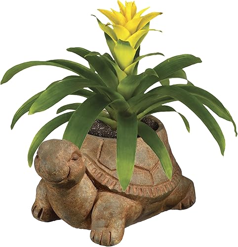 Miniatura 10 de Classic Home and Garden Cement Buddies - Macetero de rana (tamaño pequeño), color natural, Rana, S, Herrumbre