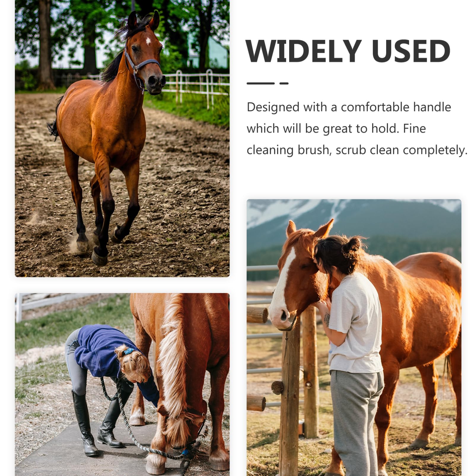 CIYODO Horse Grooming Supplies Hoof Brush Horse Hoof Cleaning Tool Iron Plastic Material Random Color