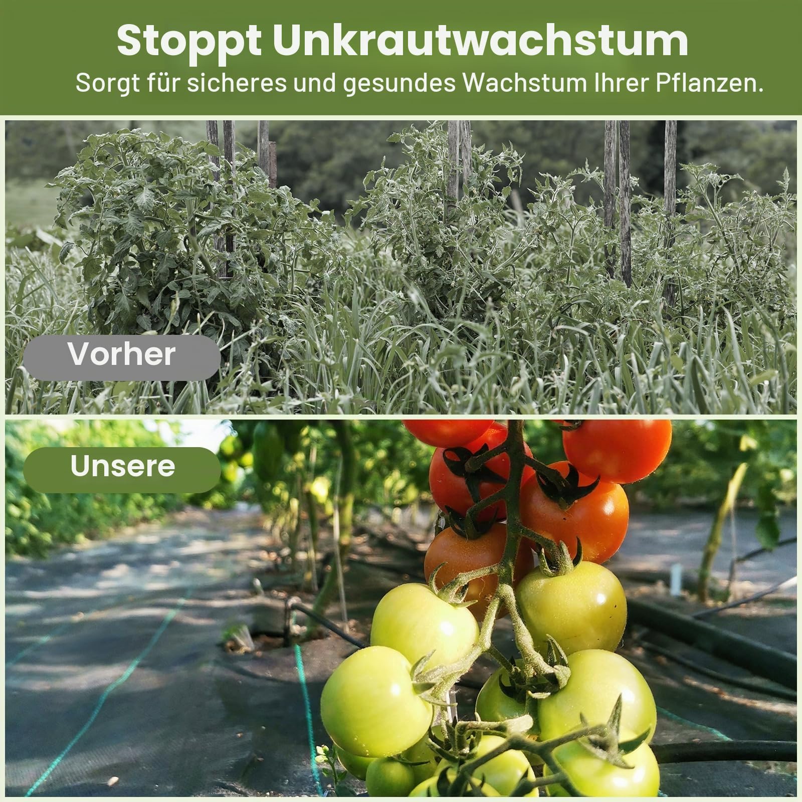 Velway Unkrautvlies Garten Extra Stark 2x10M - Unkrautvlies Wasserdurchlässig, Reißfestes Bodengewebe Unkrautflies für Garten, Hochbeet, Einfahrt usw., Anti Unkrautvlies Pflanzfolie