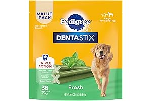 PEDIGREE DENTASTIX Dental Dog Treats for Large Dogs: The Secret to a Pearly White Smile