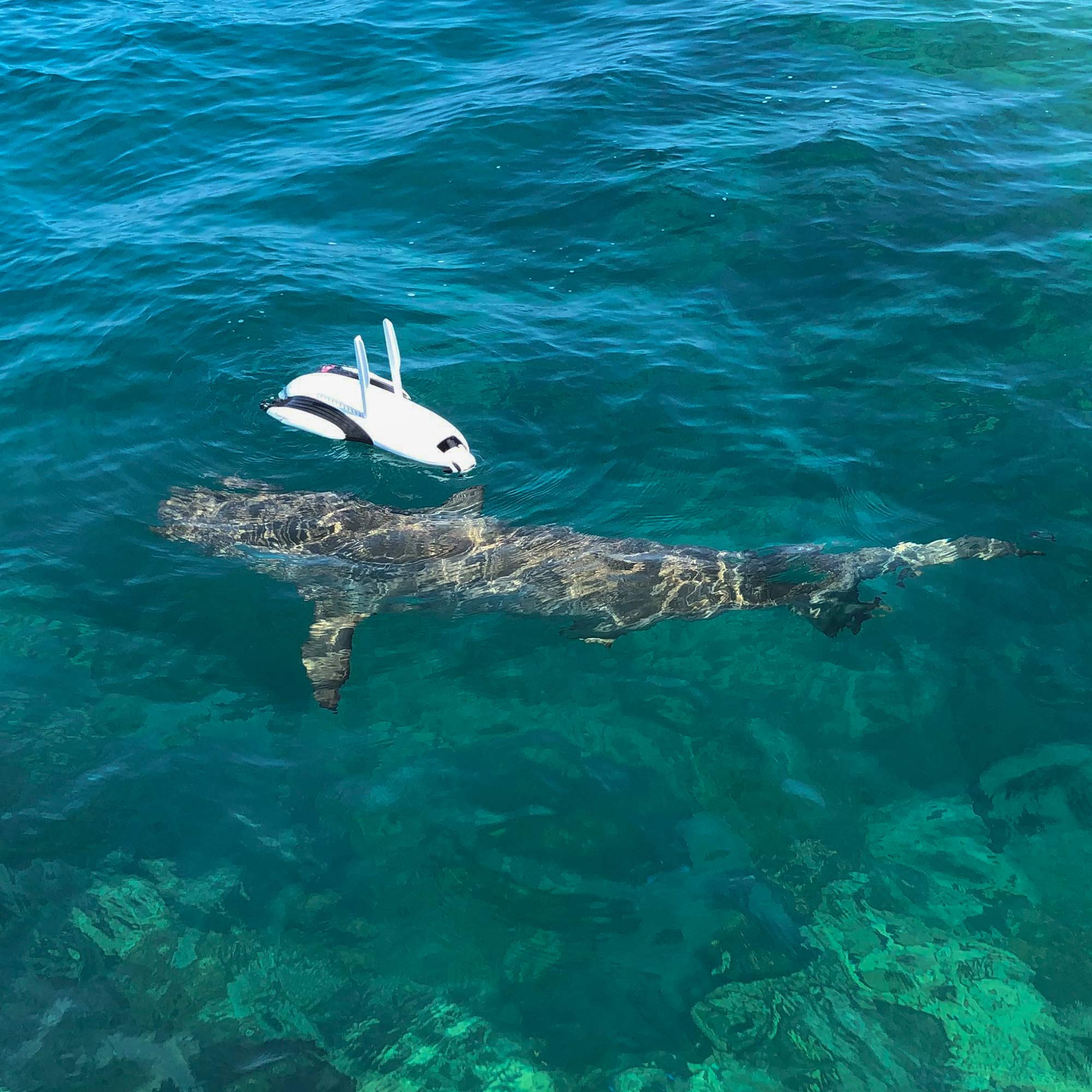 Powervision Powerdolphin Explorer Underwater Drone With 4k Camera