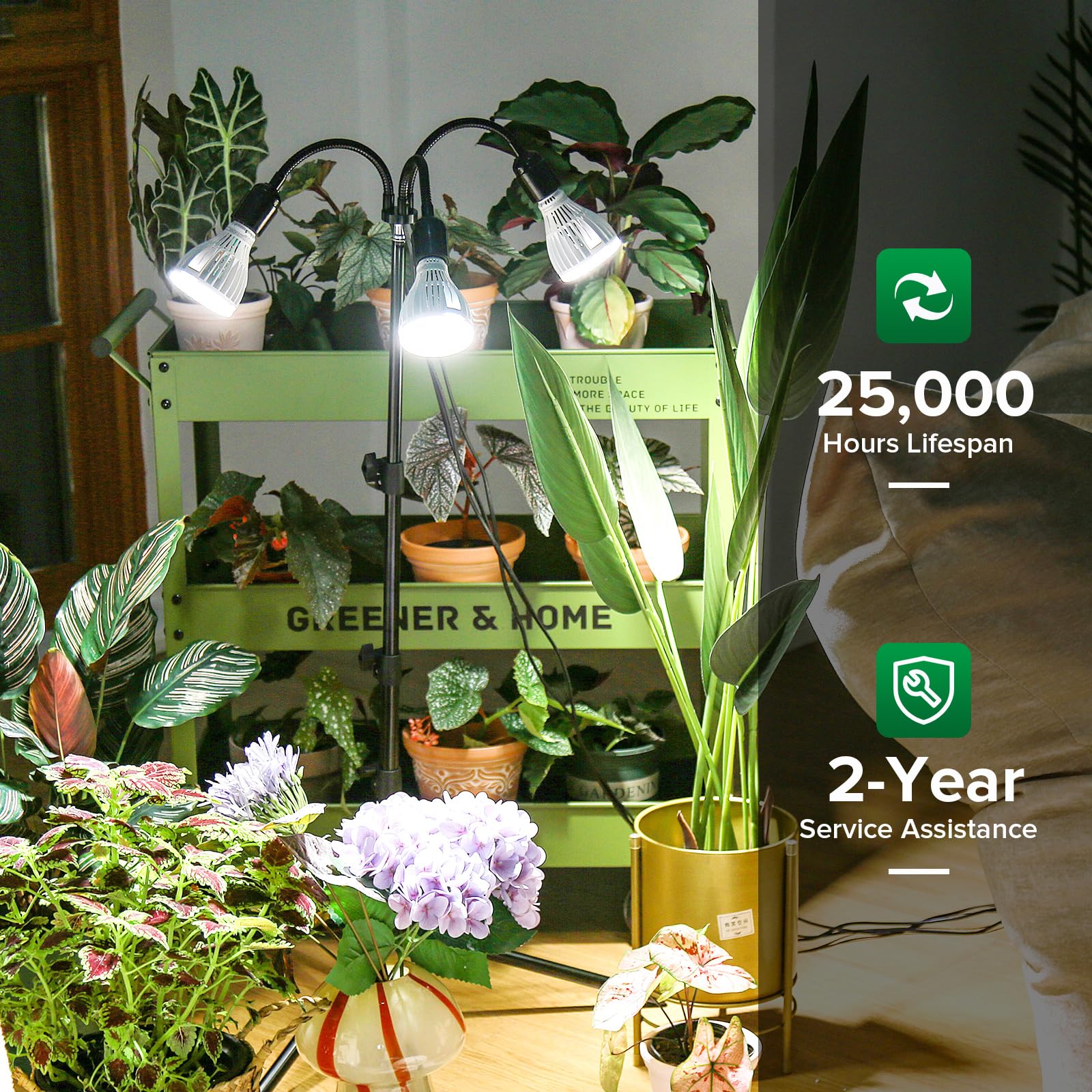 SANSI 90W LED Pflanzenlampe mit verstellbarem Stativständer, 700W Äquivalent Vollspektrum Grow Lampe für Zimmerpflanzen, 360° Schwanenhals mit 3 Ersatzbaren E27 30W Pflanzenlicht für Pflanzenwachstum