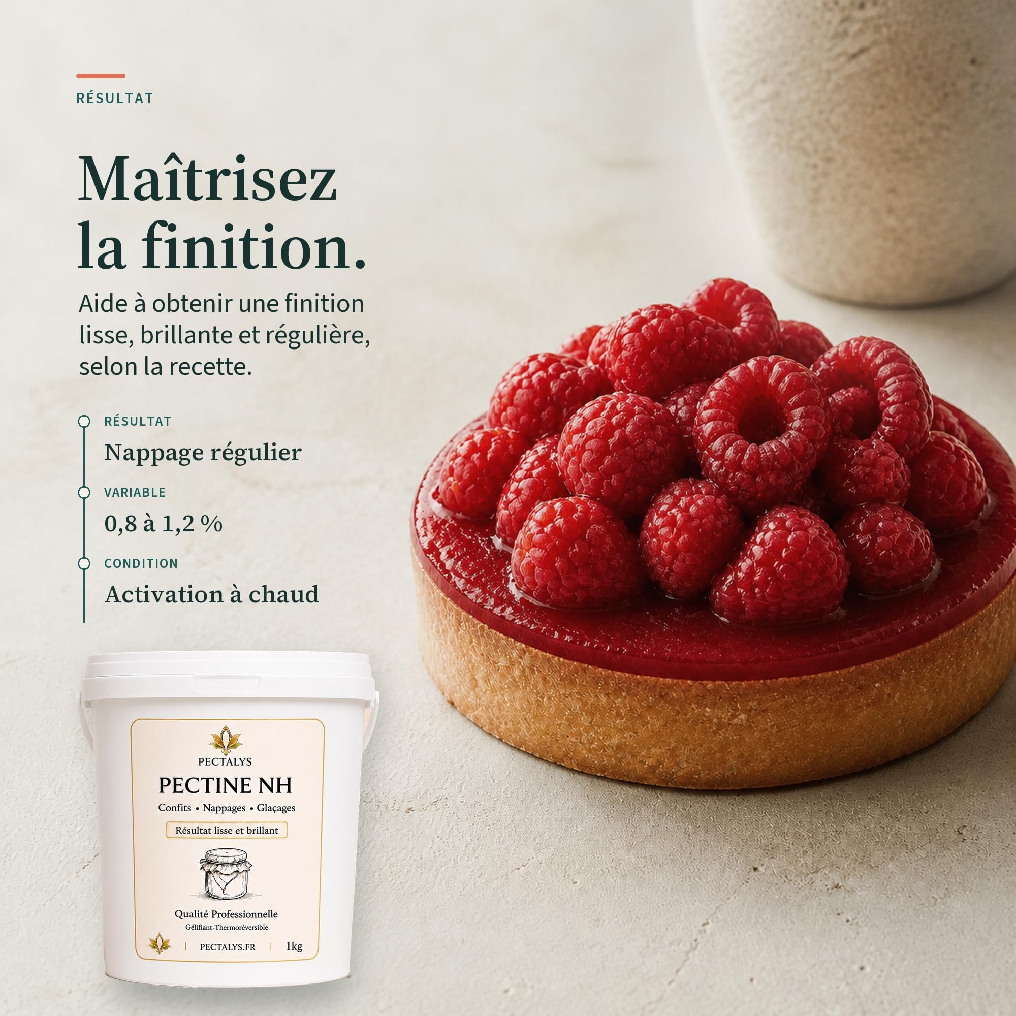 Pectalys Pectine NH Nappage - Gélifiant Thermoréversible pour Nappages, Confits et Glaçages (1 kg)