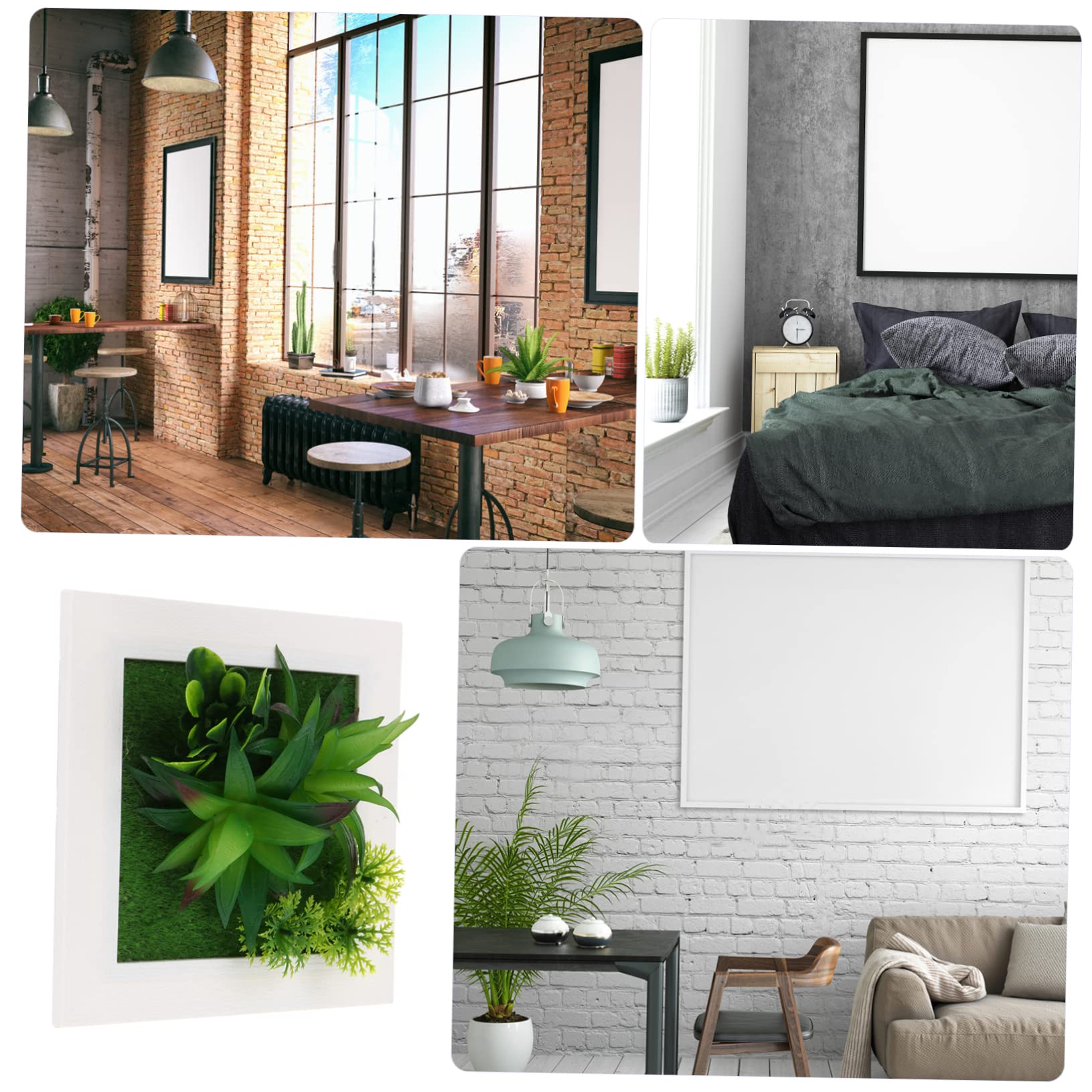 kwiat monstera cena Monstera Monkey main image 1