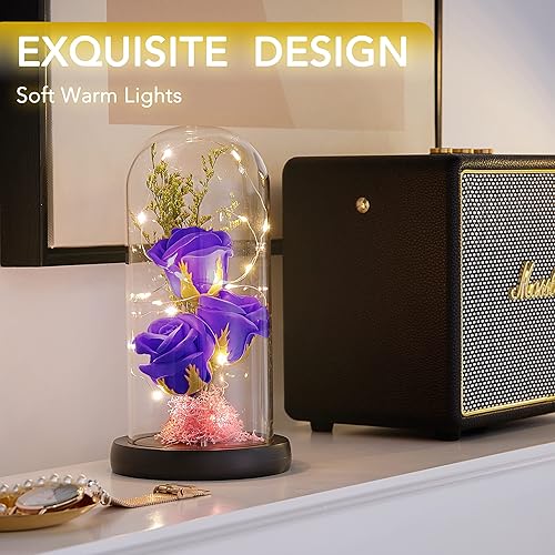 Miniatura 7 de oridom Regalo de flores preservadas, rosa iluminada en cúpula de cristal, regalos de flores eternas para ella, abuela, día de la madre, día de San
