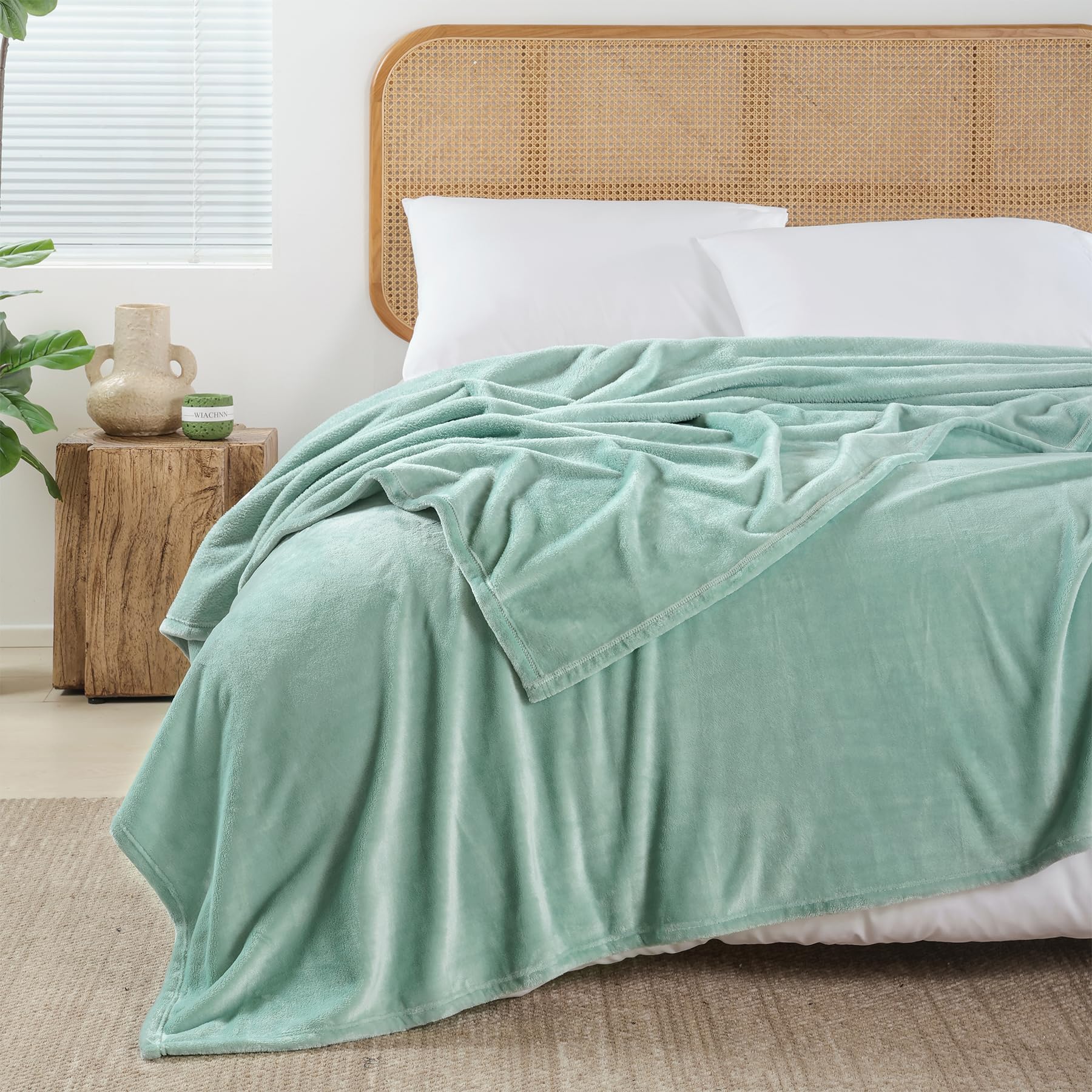 Amazon.com: 300GSM Luxury Soft Fleece Blanket Queen - Plush Fuzzy Cozy ...