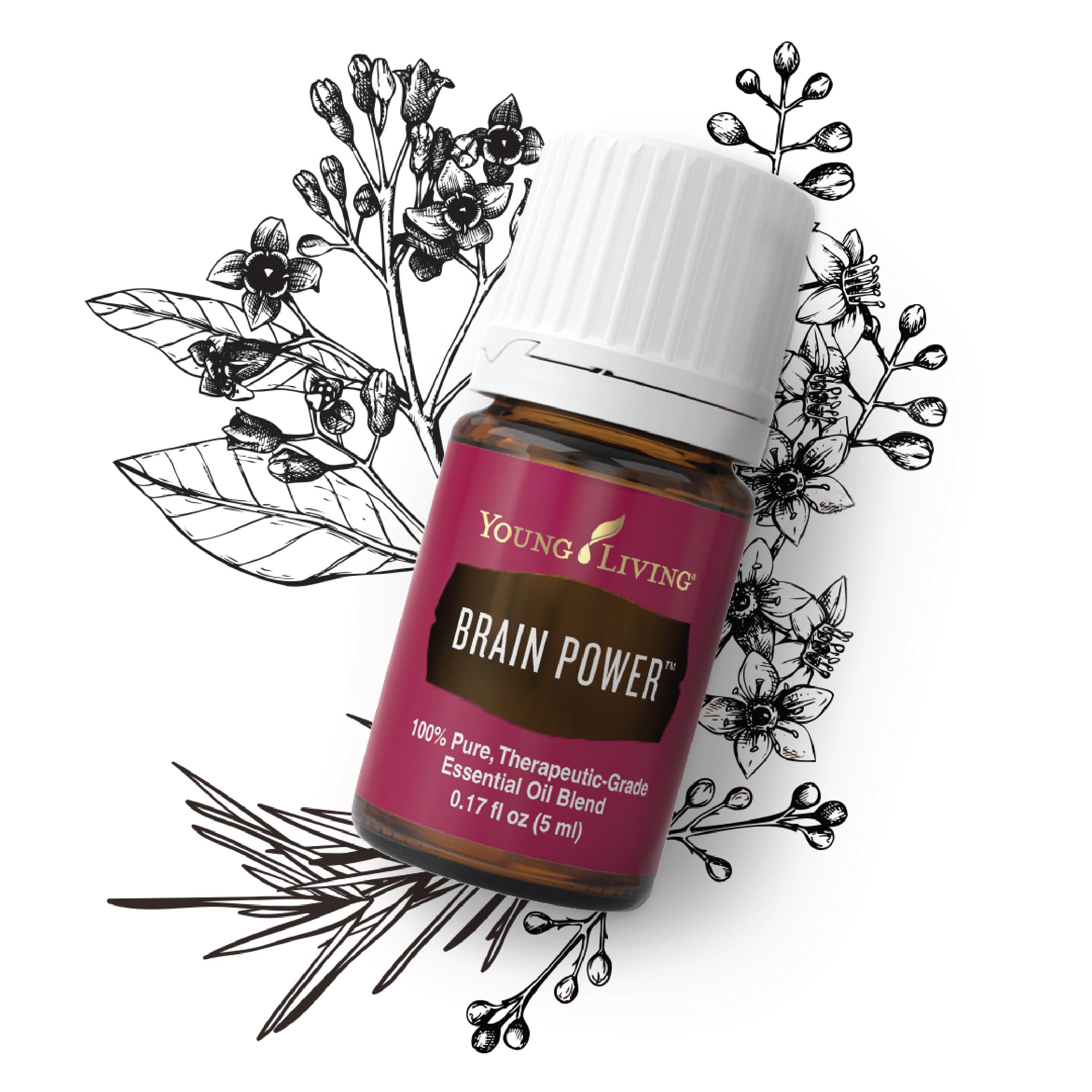 Brain power（ブレインパワー）5ml　ヤングリヴィング Amazon.com: Brain Power 5ml Essential Oil by Young Living