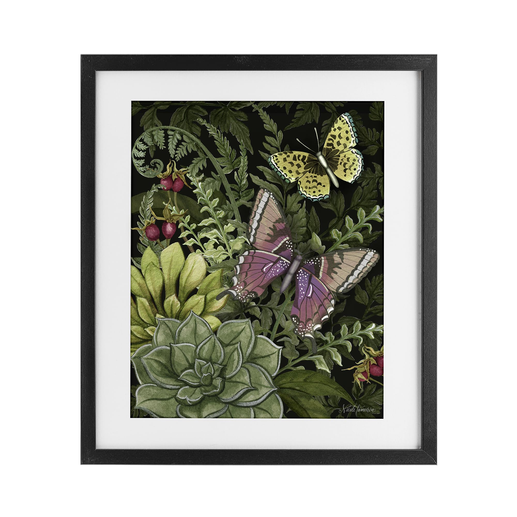 Stupell Industries Midnight Garden Butterflies_v1 'Dark Succulents Midnight Garden', Framed Print Under Glass, Black, 13 X 16 Inches, Easy To Hang And Sturdy, Made In Usa, By Nicole Tamarin