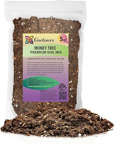 Suelo para macetas de árbol del dinero, mezcla de tierra para plantar o trasplantar castaño de Guayana, tierra mezclada para cultivar adecuadamente