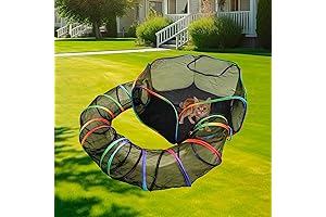 Your Kitties' Haven: Rainbow Outdoor Cat Enclosure