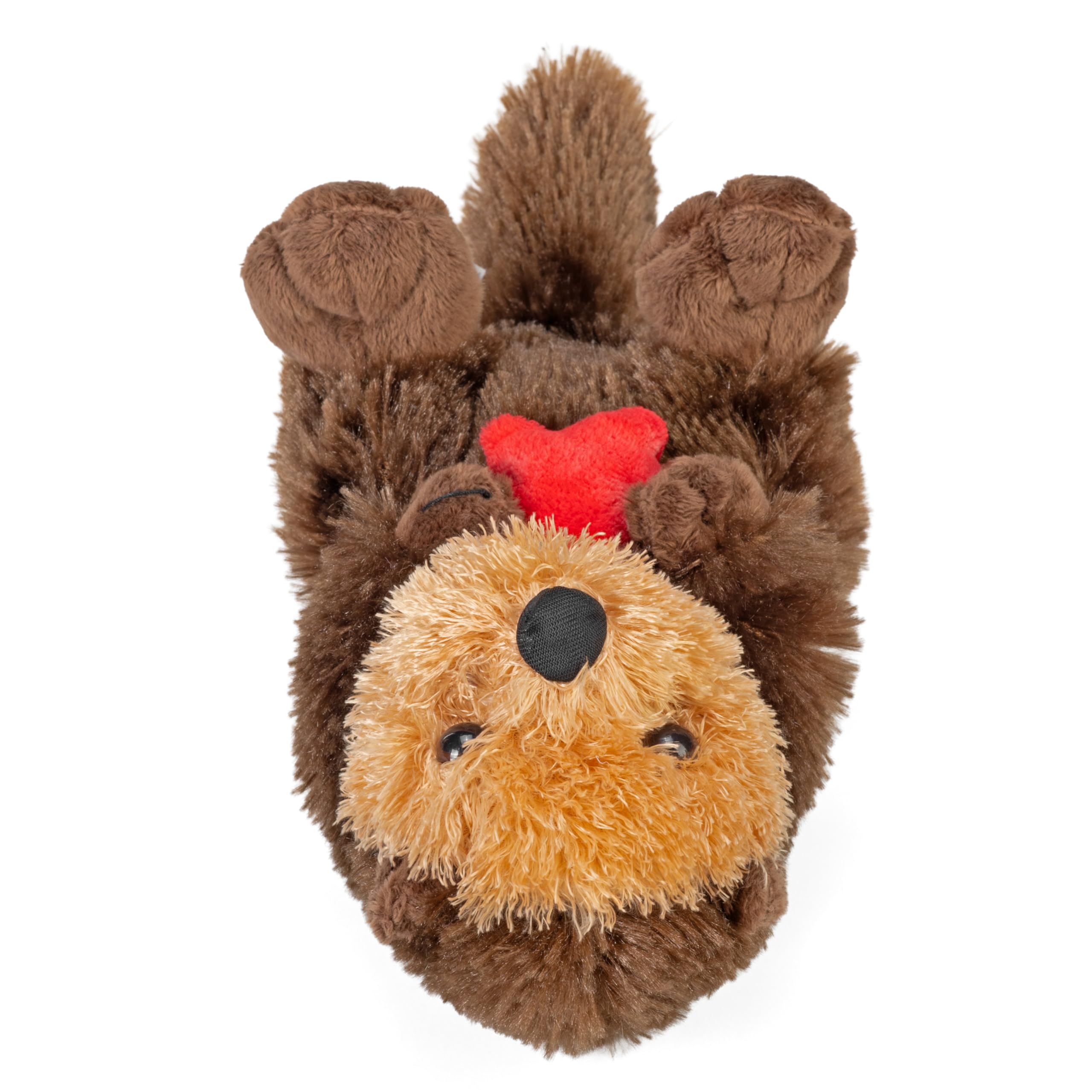 Amazon.co.jp: Wild Republic ラッコ ラッコ ぬいぐるみ 動物