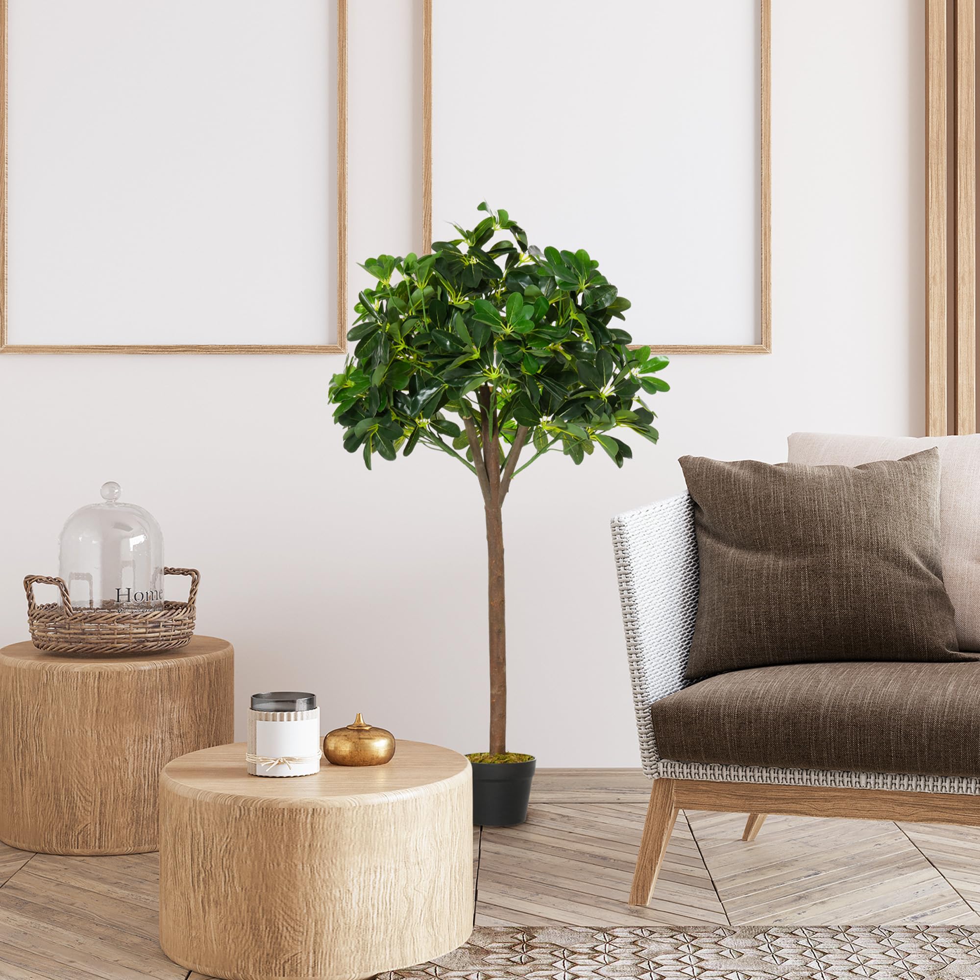 Kunstplant Ficus Liana 1.20m | Easyplants