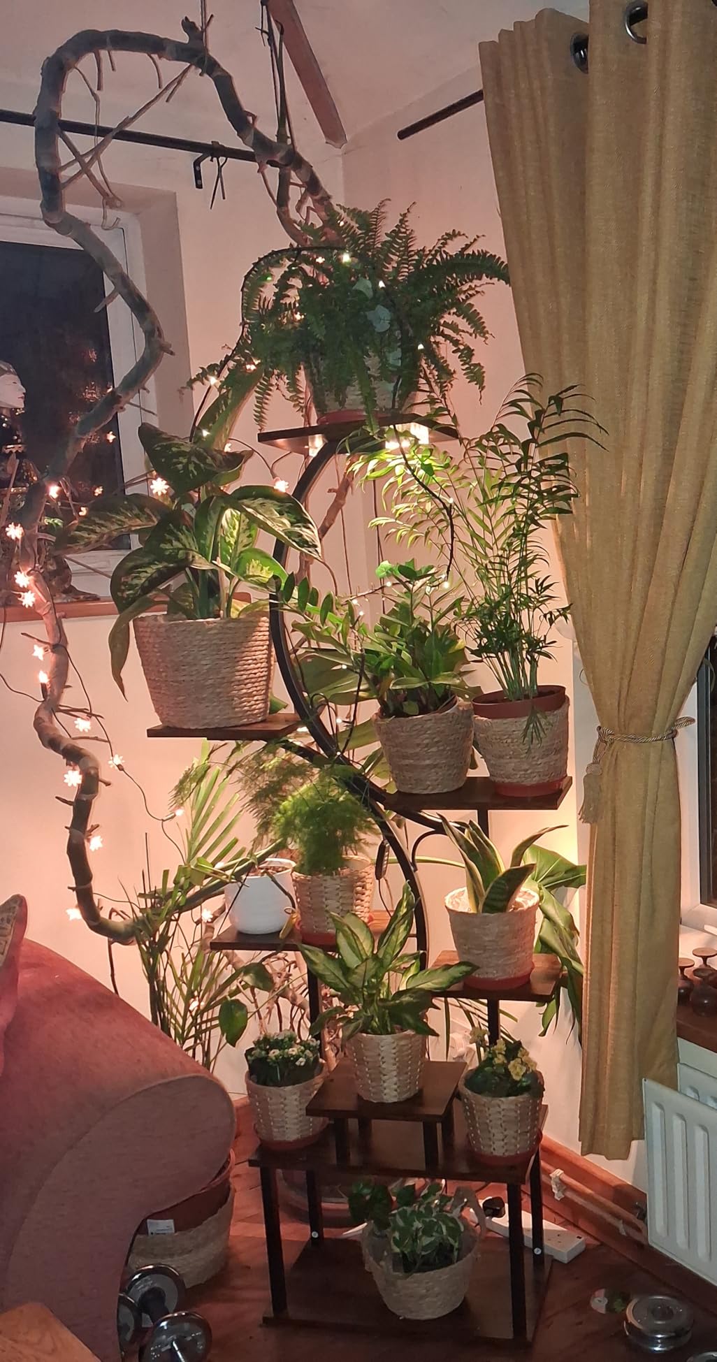 Customer photo