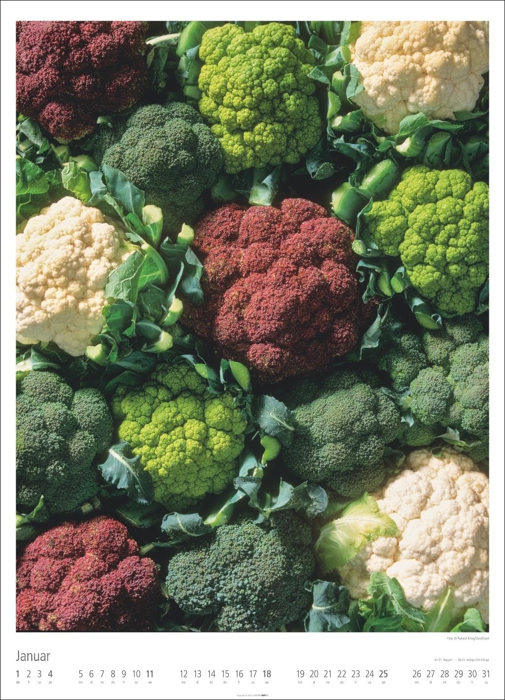 Food Gallery Kalender 2026: Großer Wandkalender mit 12 dekorativen Lifestyle-Fotos für die Küche. Food-Fotografie mit saisonalen Lebensmitteln. 49x68 cm Hochformat.