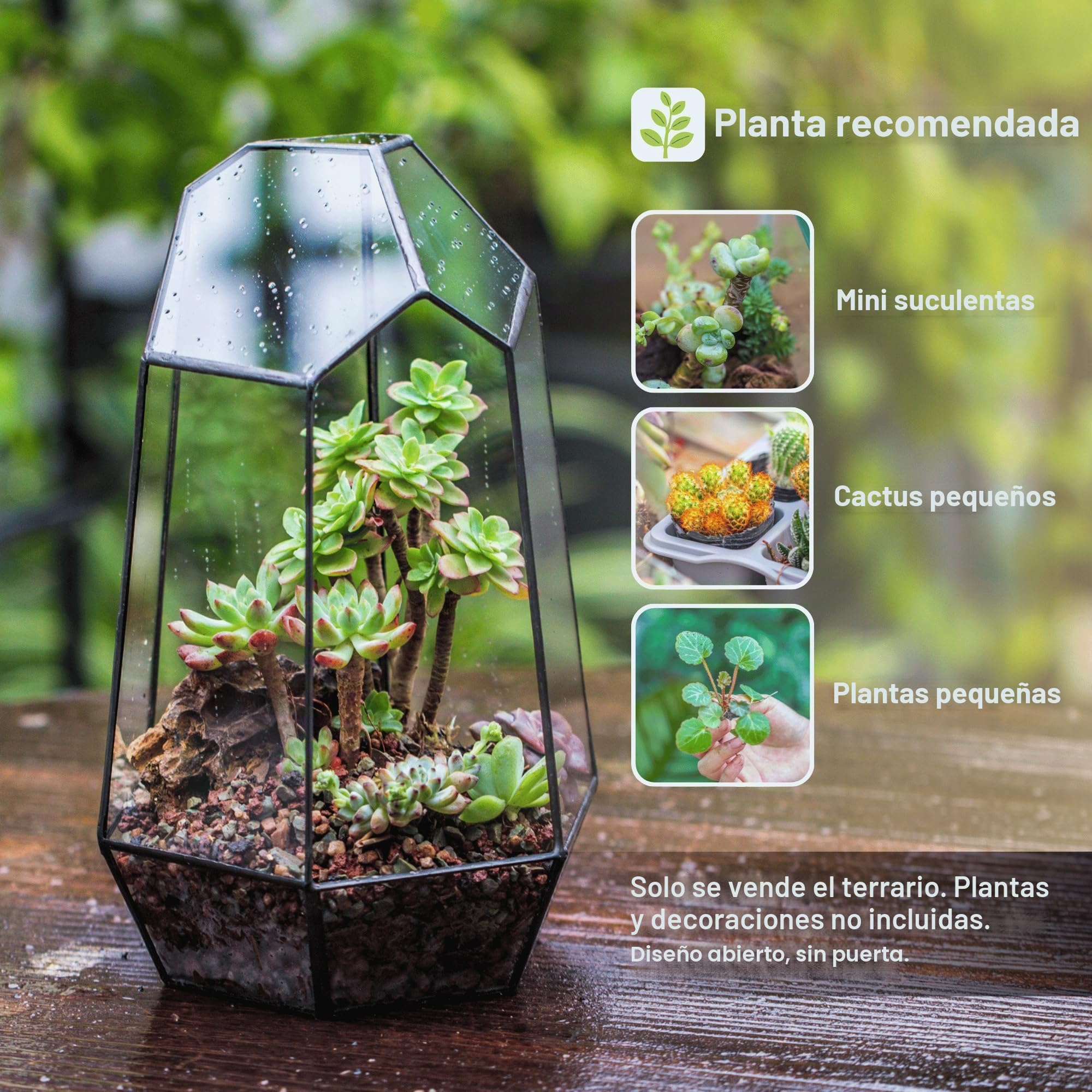 NCYP Terrario de Forma geométrica de Prisma de Cristal, 16,5x14,5x25cm, para Plantas suculentas (Solo Terrario, Sin Puerta No Hay Plantas)