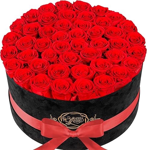 Forever Real Roses en caja de gamuza, 47 piezas de rosas en una caja, rosas preservadas de lujo que duran más de un año, flores para el día de San