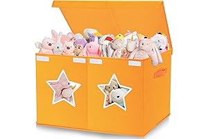 Spacious and Sturdy Large Toy Box