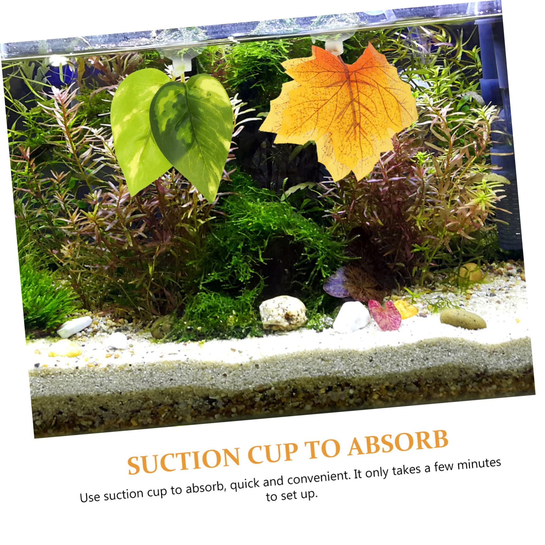 Petco Betta Bulbs Petco Fish Plants Online