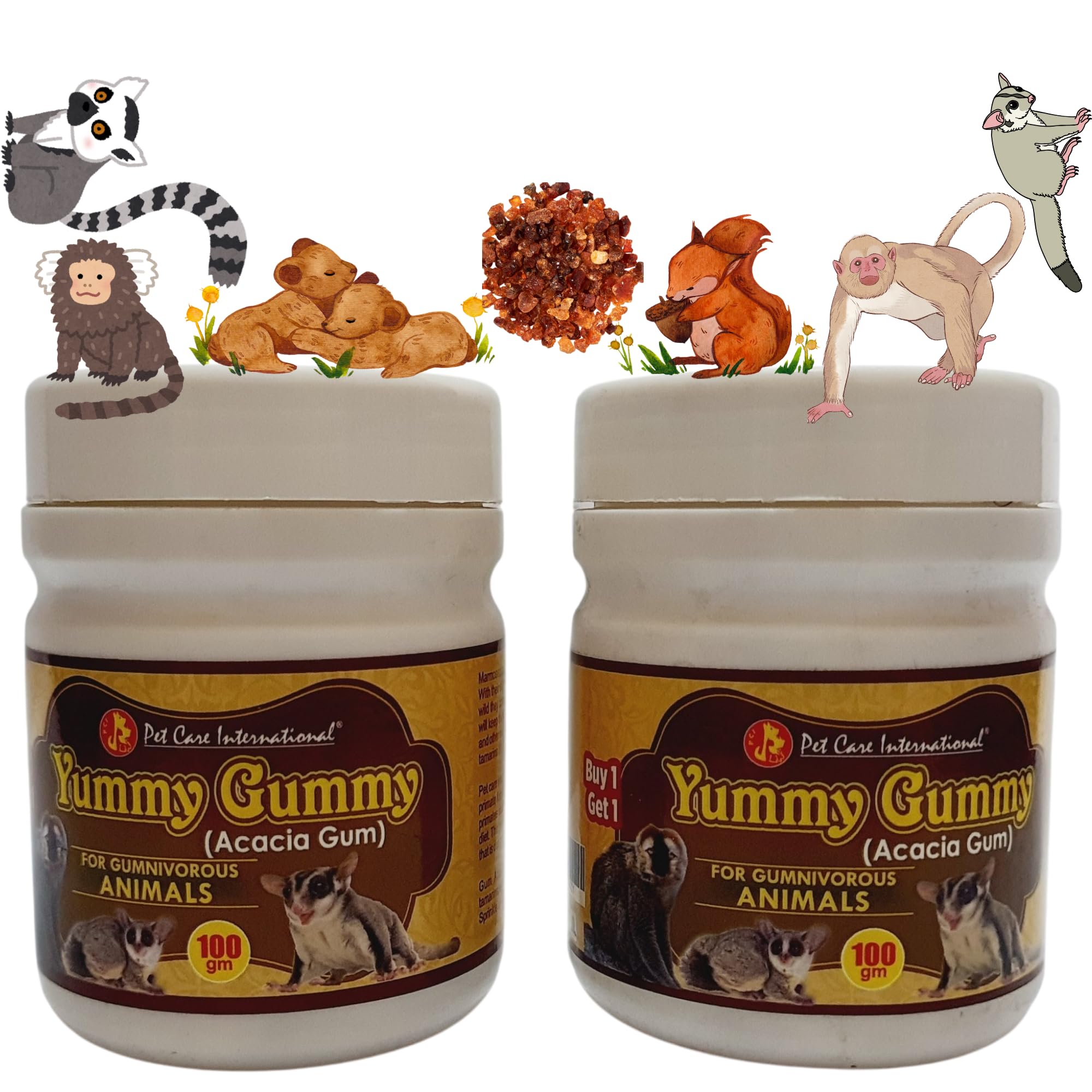 PCI Yummy Gummy 100 GM (Pack of 2)-image-20