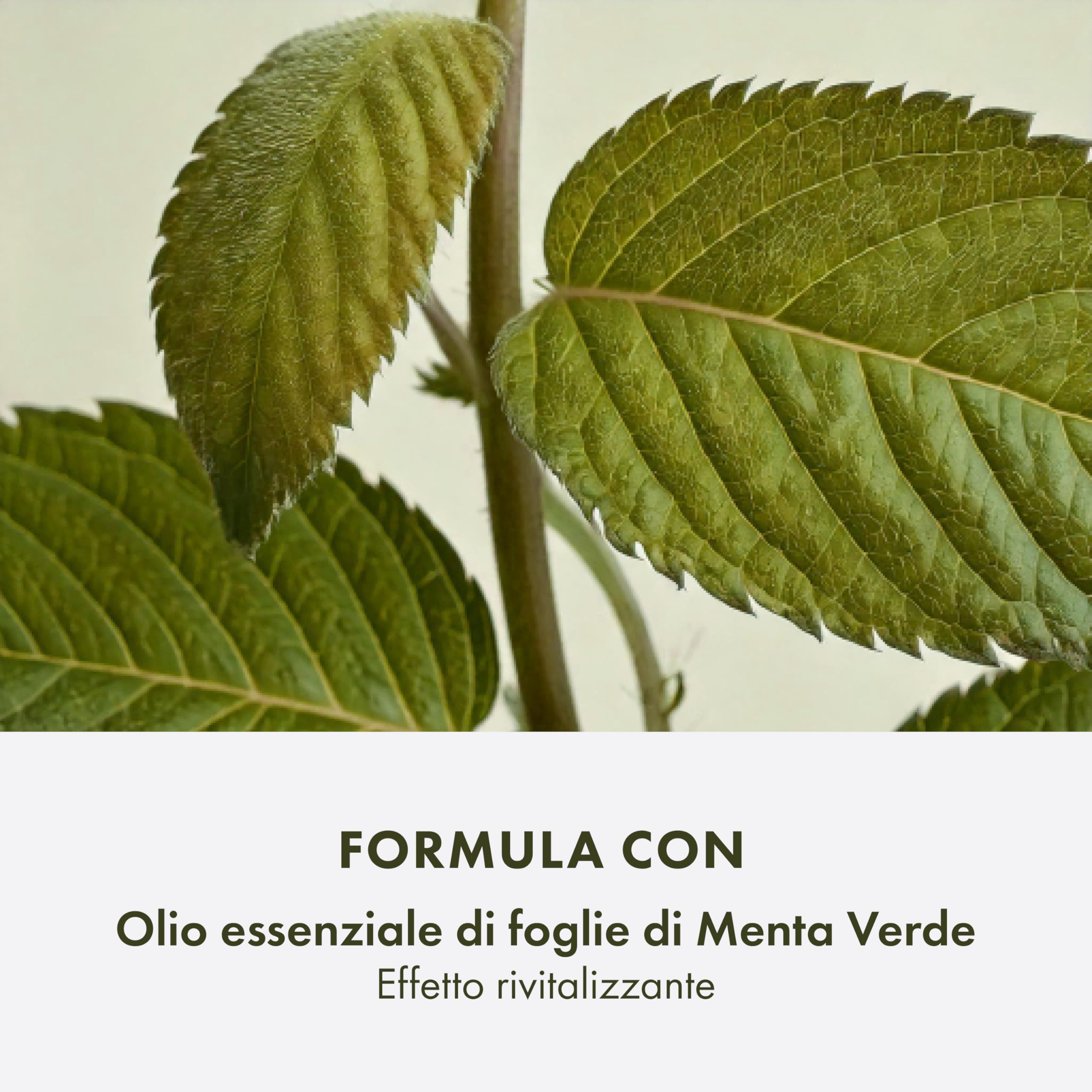 Origins Checks and Balances Frothy Face Wash | Detergente per il viso per tutti i tipi di pelle - Delicato - Con menta