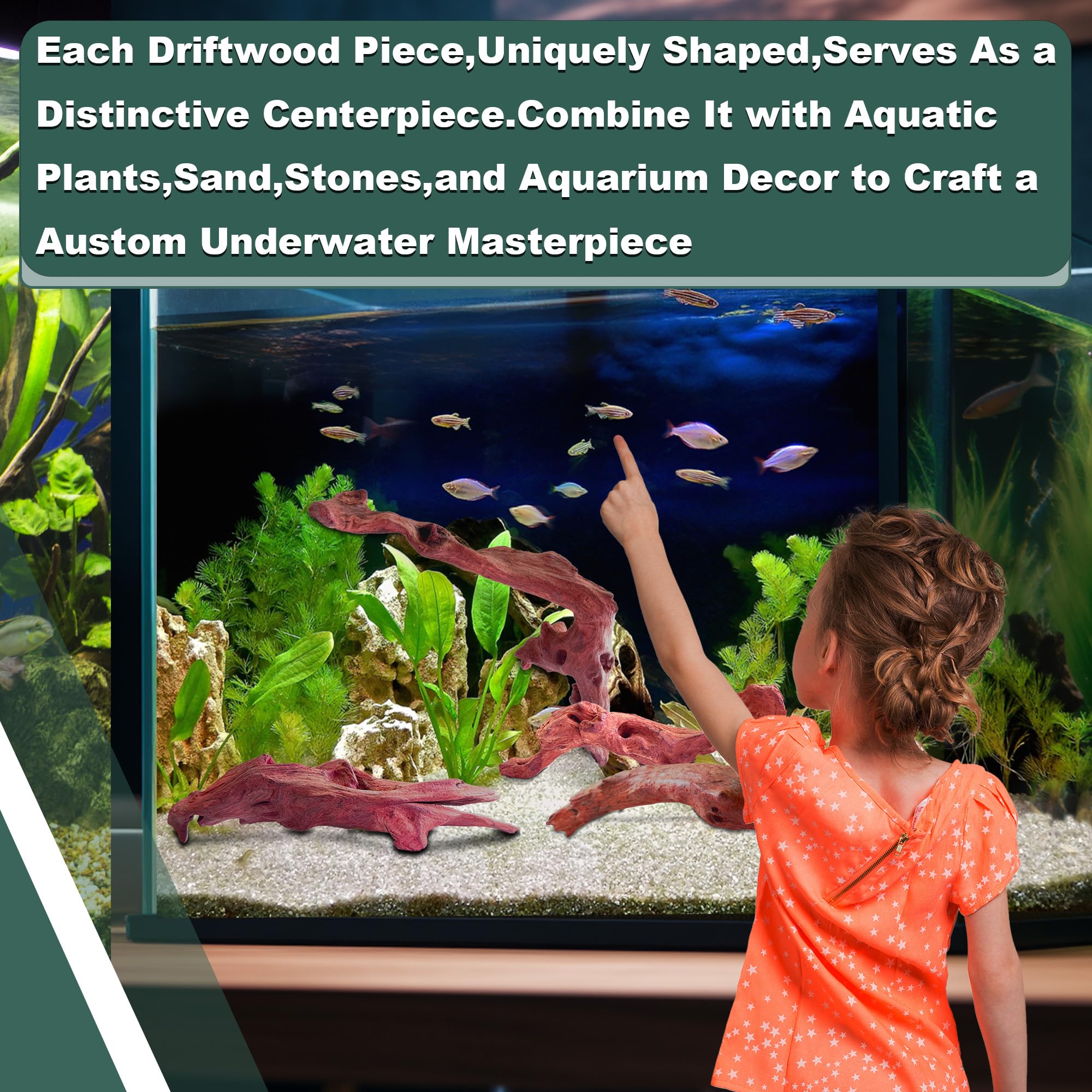 Driftwood Decor Best Unique Creative Aquarium Decorations For