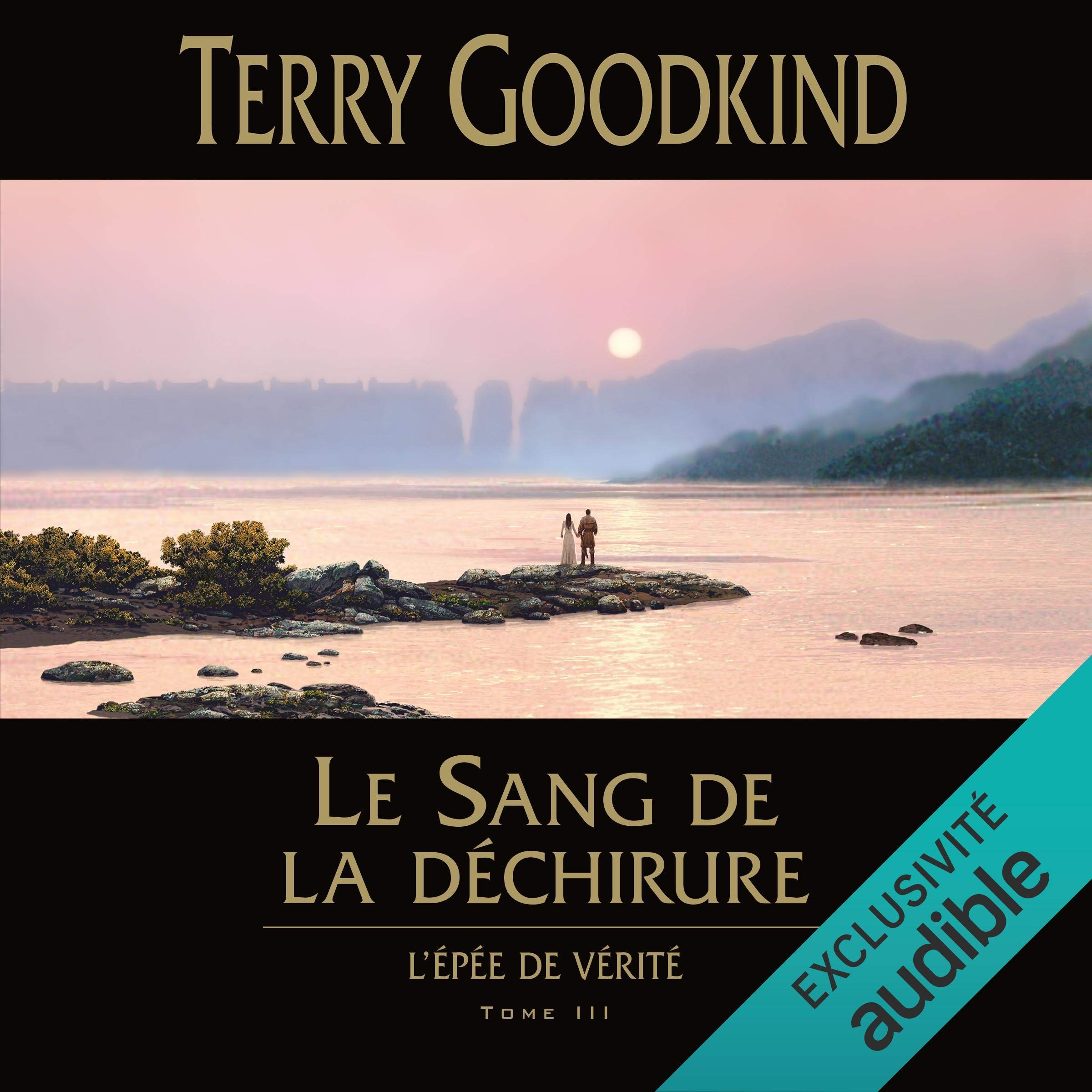 Cover art for Le Sang de la déchirure