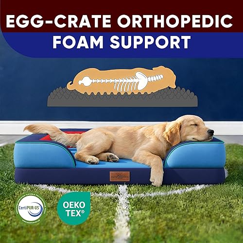 Miniatura 33 de Comfort Expression - Cama ortopédica para perros extragrandes, 53 x 42 pulgadas, cama impermeable y de apoyo de espuma con cojines removibles, con