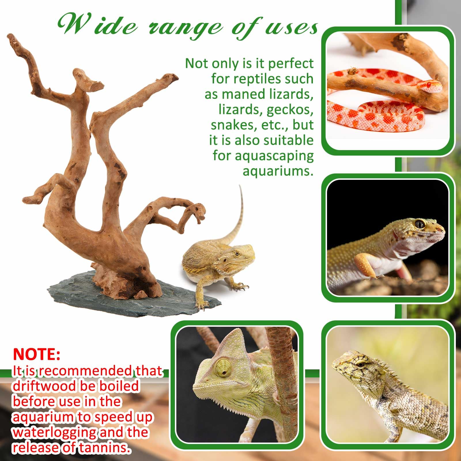 AceOrbit Grande legno naturale di ragno, 21,5-29,9 cm, legno naturale per acquario, legno di ragno su pietra ardesia, per acquario, terrario, vivario, acquario per rettili, decorazione per acquari