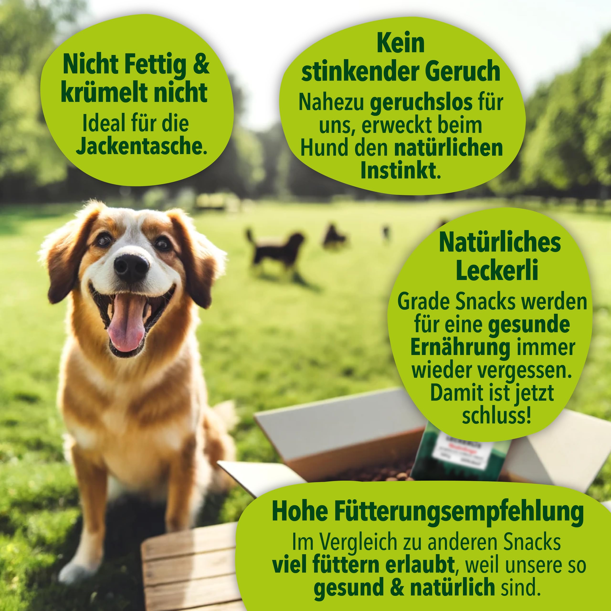 Premium Entdecker Snack-Set für Hunde 5-teilig | Getreidefrei, Proteinreich | Mix aus Wildfleisch, Rind, Lamm & Pute | Trockensnacks & Hundekekse