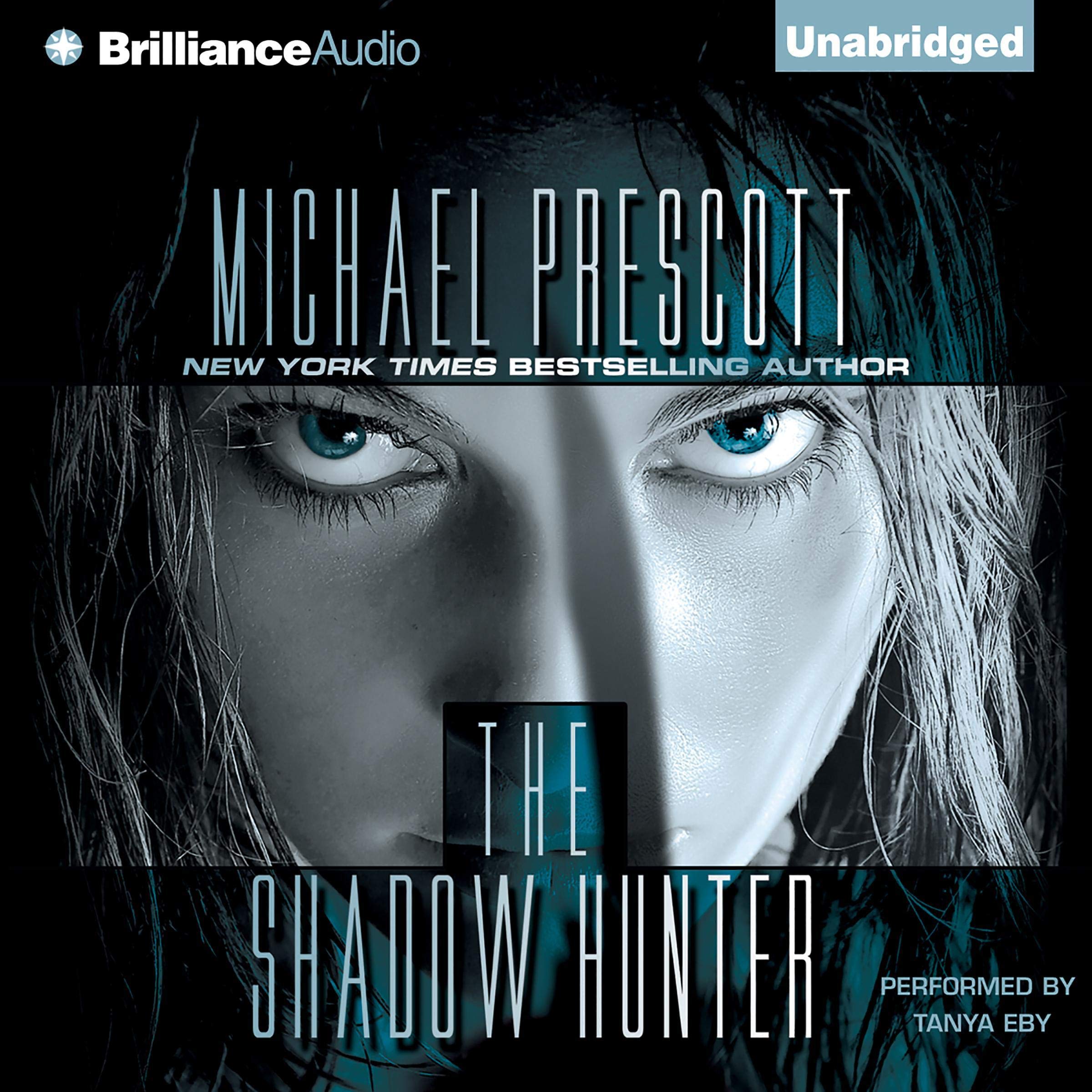 Cover art for The Shadow Hunter