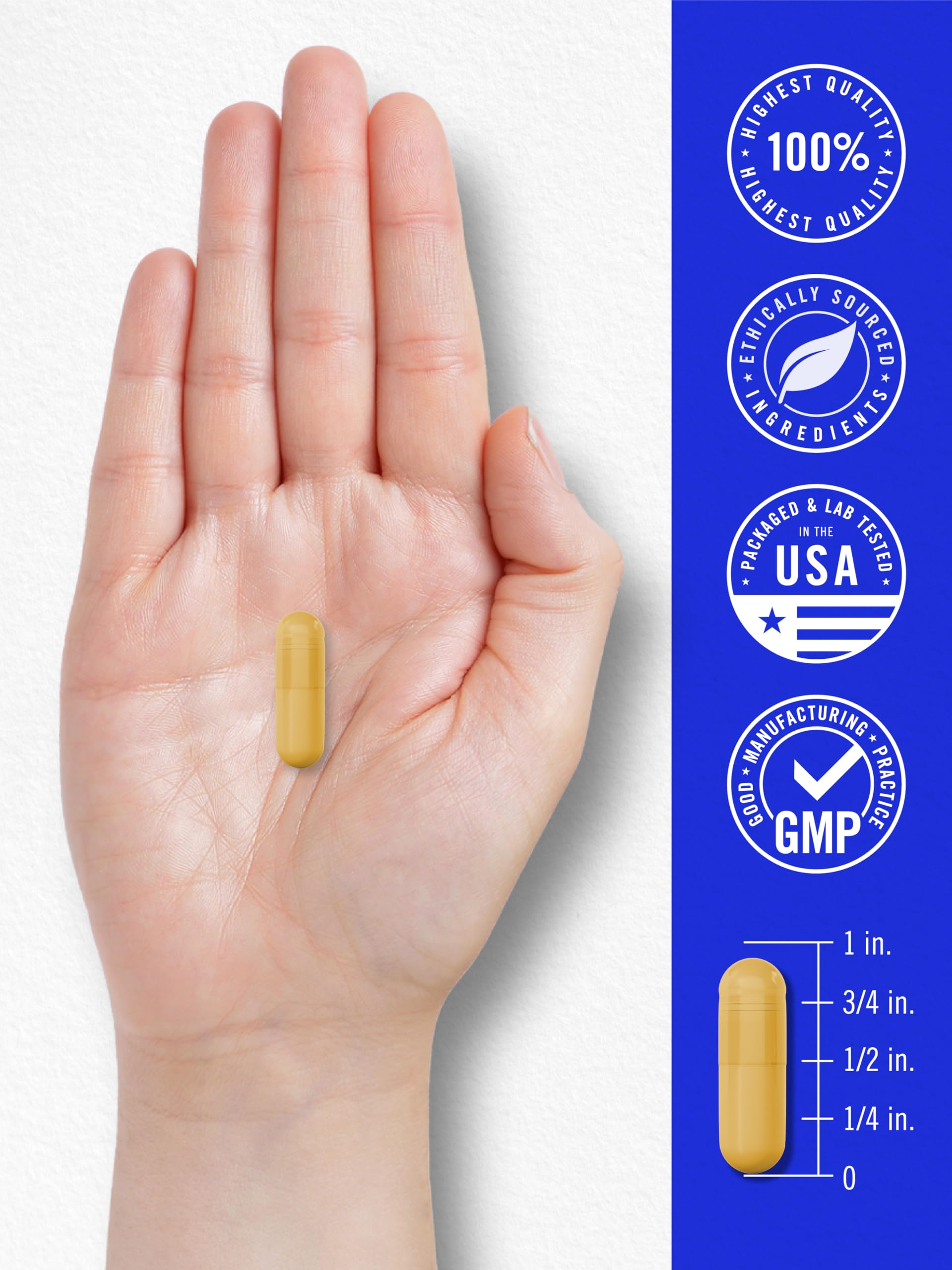 Carlyle B-100 Complex | 250 Capsules | B1, B2, B3, B6, B12 & Biotin — Amazon image 7