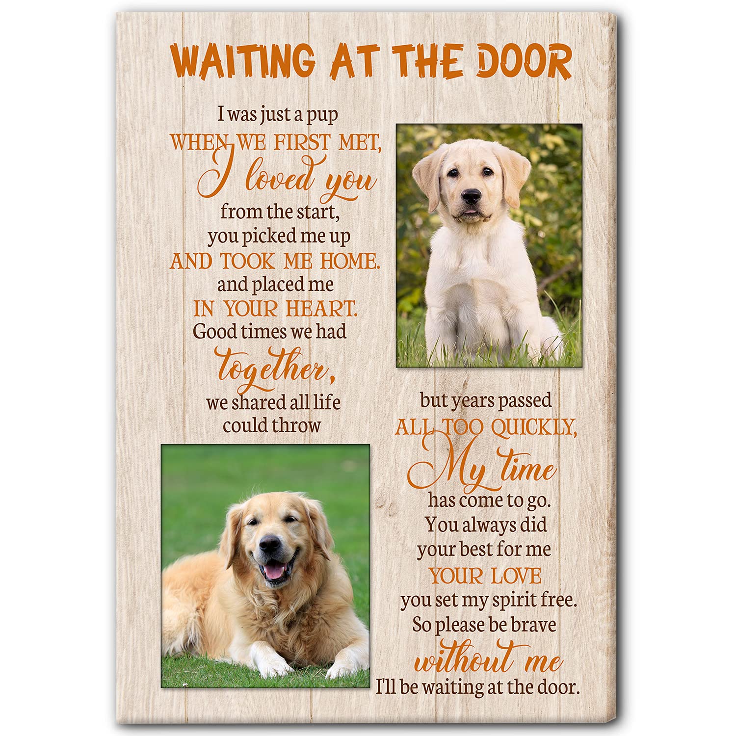 Can I Throw My Dead Dog In The Trash at Marjorie Melvin blog