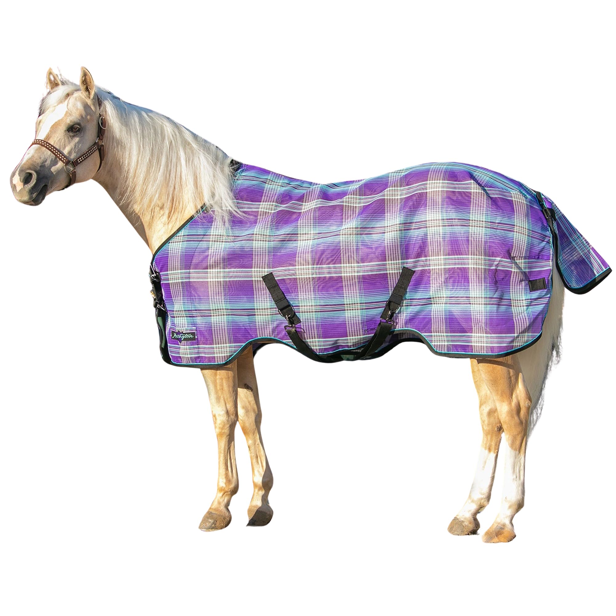 Kensington Breathable and UV Protective Sheet SureFit All Season Protection for Horse - 66", Lavender Mint