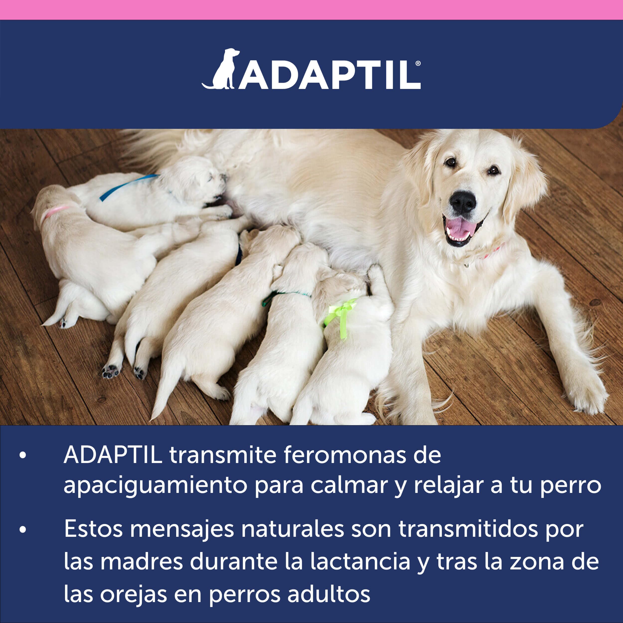 Adaptil Junior - Antistress per i Cuccioli - Adeguamento alla casa, l'apprendimento, l'educazione, Lloros, Era Solo - Collare per Cuccioli
