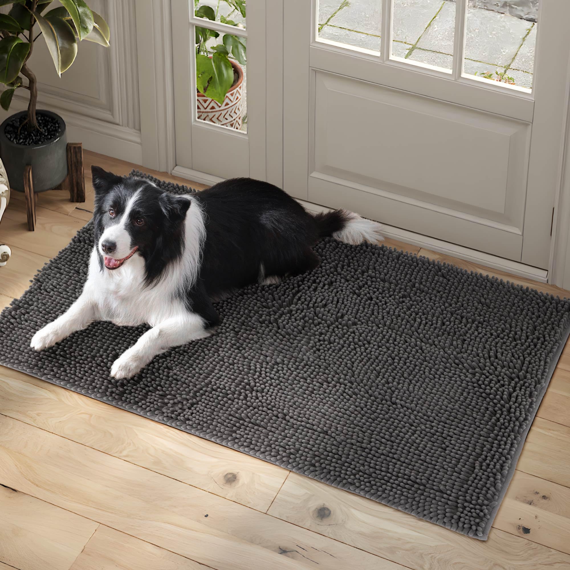 Dog Door Mat Indoor Entrance, 60