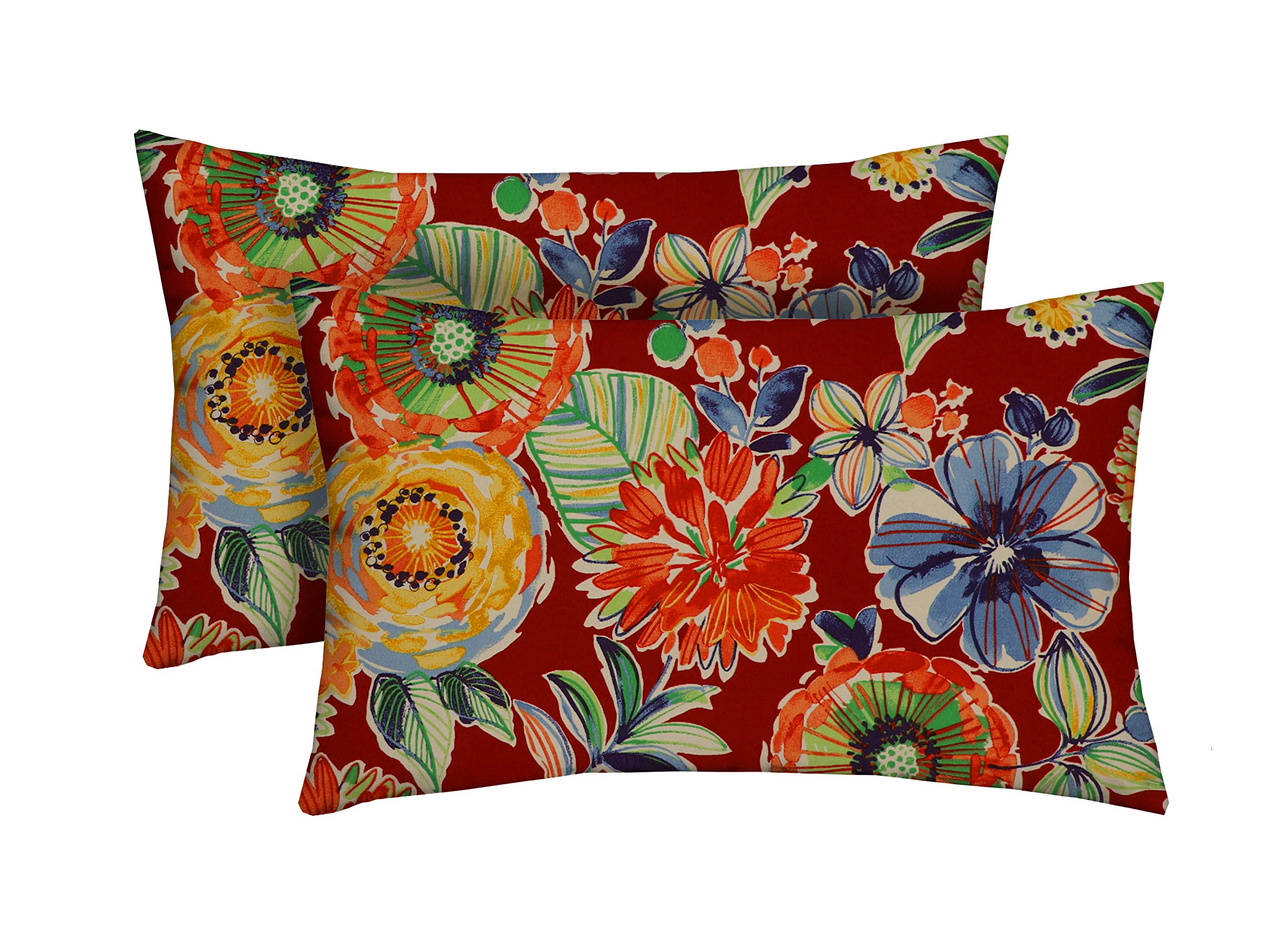RSH DECOR: Lumbar Throw Pillows Set of 2 | 20” x 12