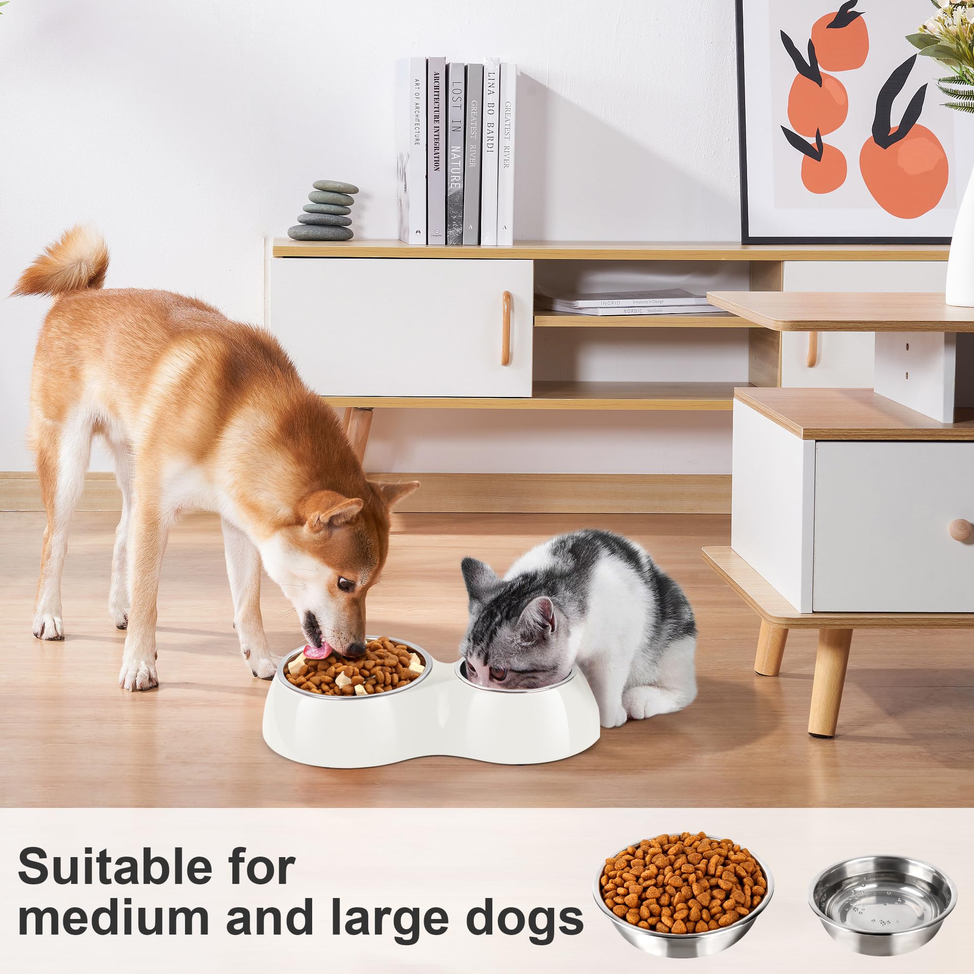etvillage - Juego de cuencos dobles para perros, contiene dos cuencos de acero inoxidable y una base de elevación. Proporciona comida y agua para perros grandes, medianos y pequeños. (Mediano: 4.8