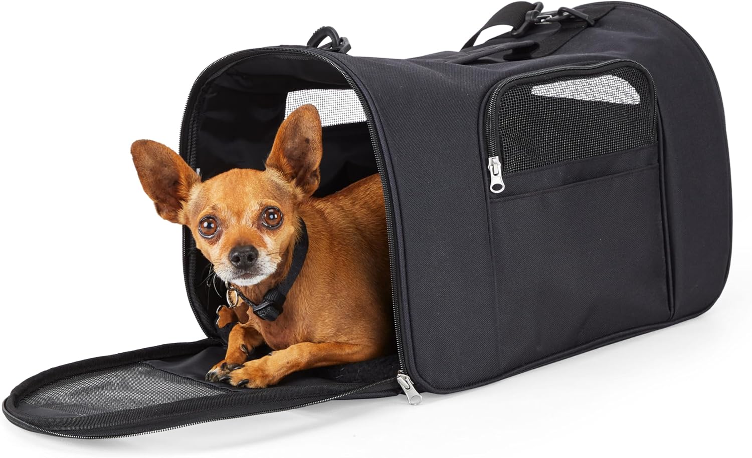 EveryYay Going Places to Go Black Pet Carrier Small