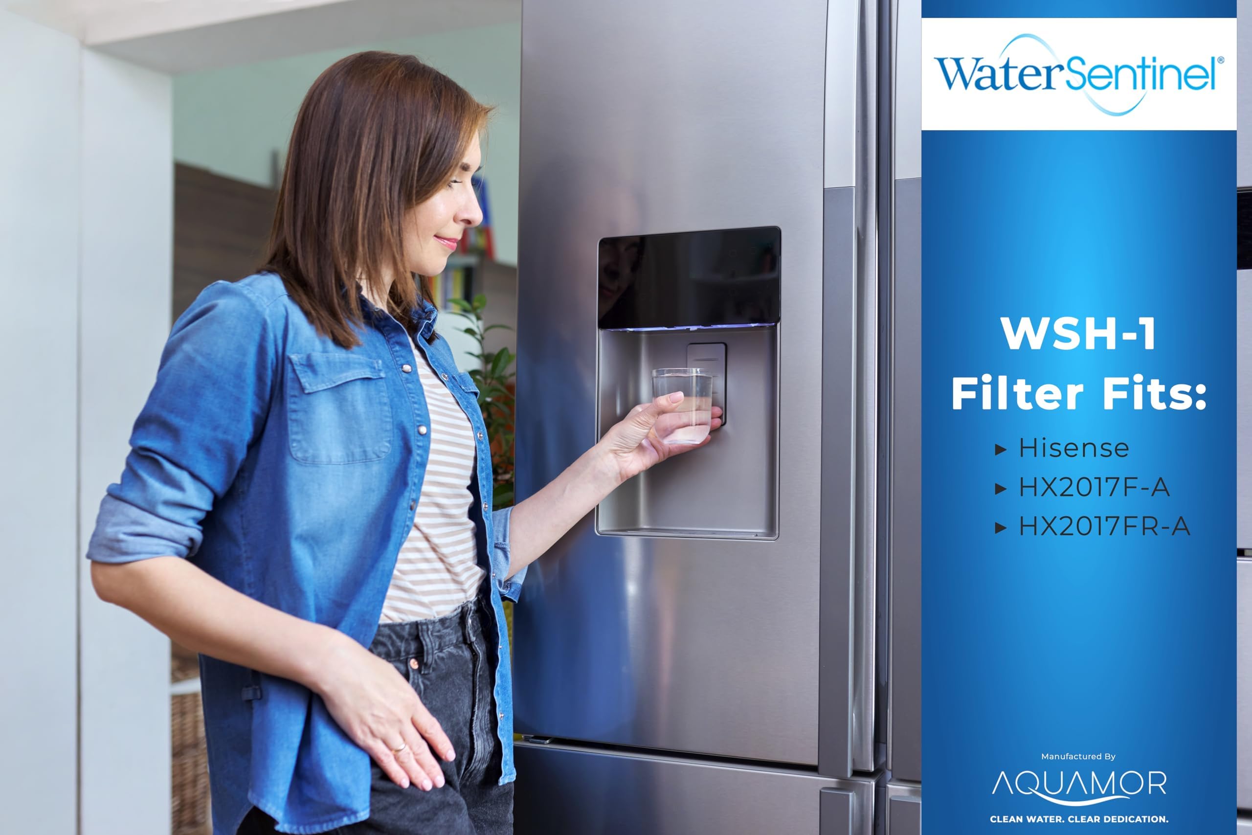 Amazon.co.jp: WaterSentinel WSH-1 冷蔵庫交換用フィルター