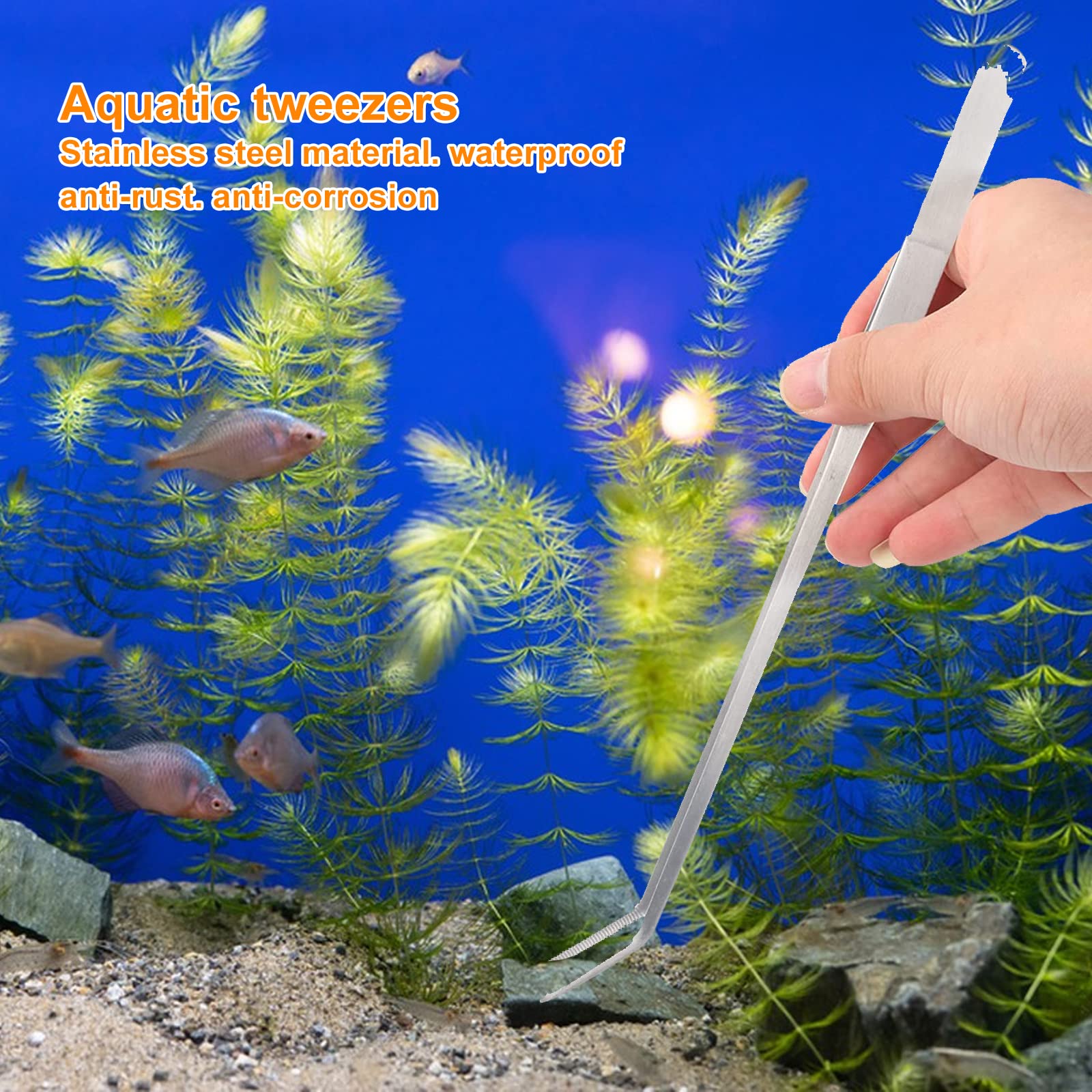 4-in-1 Kit Pulizia Acquario con Pinzette e Forbici in Acciaio Inox per Terrarium e Piante Acquatiche
