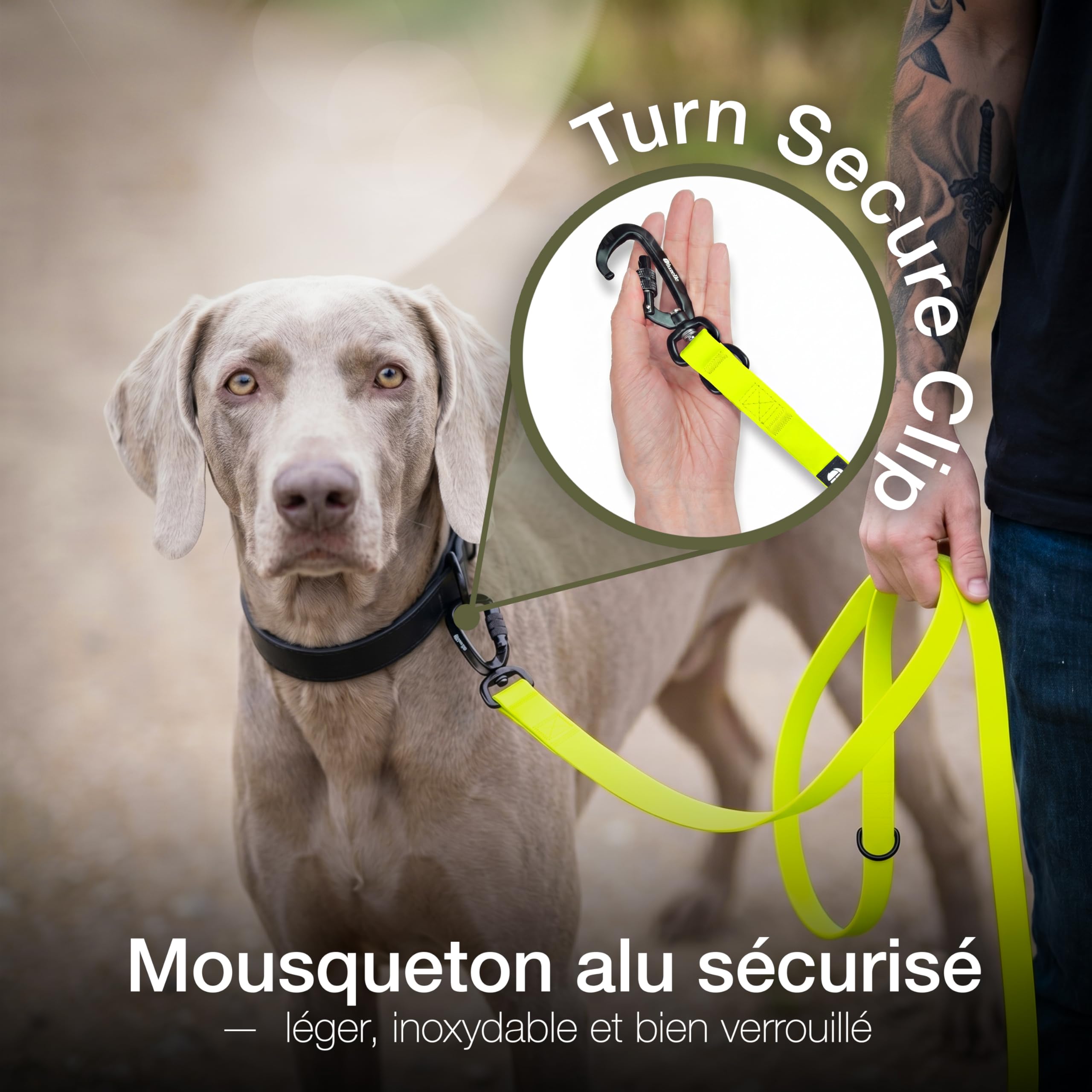 Laisse Chien Étanche Solide 3m pour Chiens Petits à Grands (10-100kg) – Bandoulière Réglable – WEATHERGUARD – 2X Mousquetons de Sécurité – Marque Allemande, Couleur:Jaune Fluo