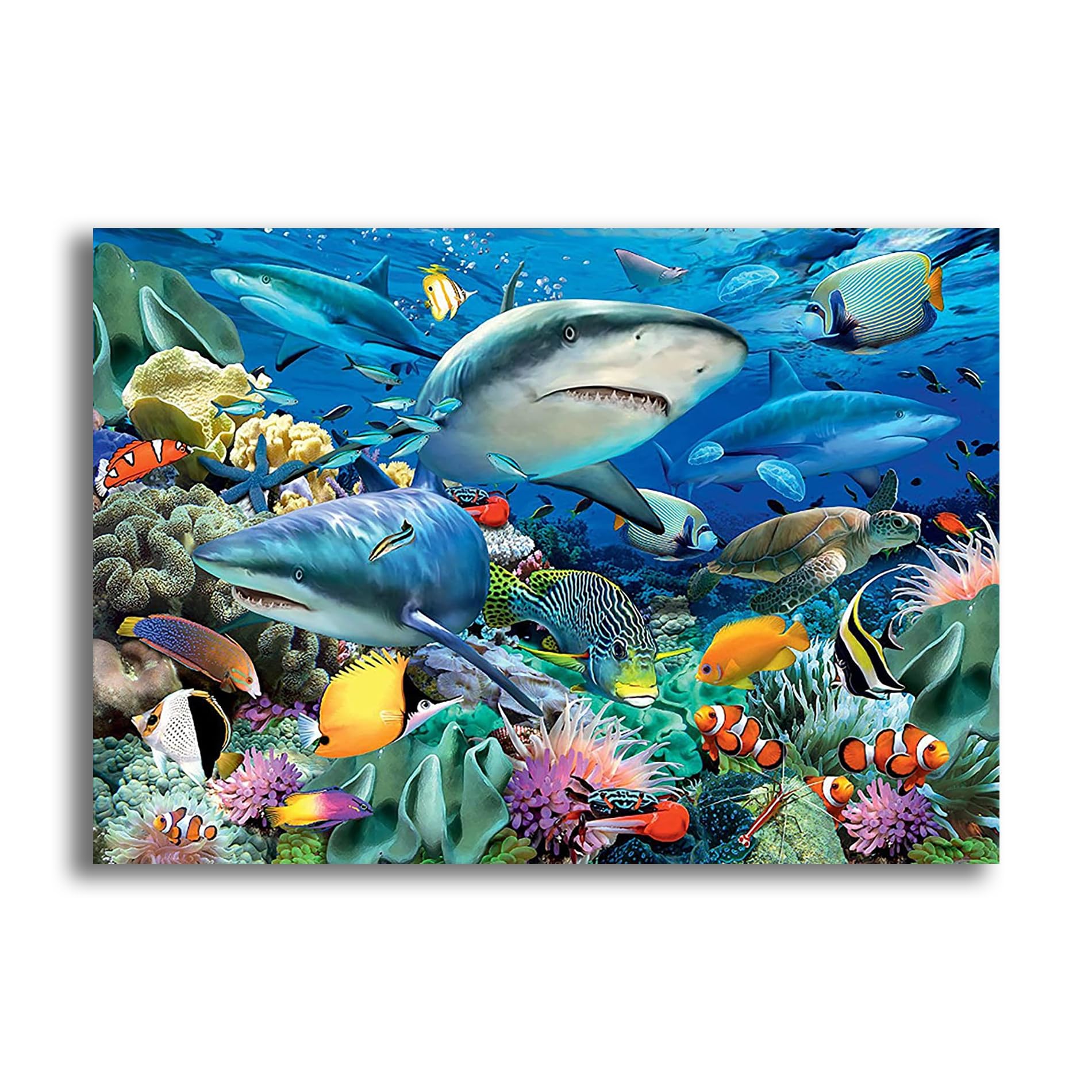VAIIEYO 5D DIY Shark Diamond Art Kits Adults, Animal Fish Diamond Painting, Paint with Round Full Drill Crystal Rhinestone Diamonds Gem Art for Home Wall Decoration Gift 12X16Inch-43