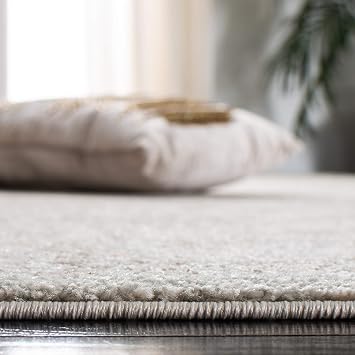 SAFAVIEH Area Rug 9x12 - Evoke Collection - Large - Ivory & Taupe, Distressed Design, Non-Shedding & Easy to Clean, Ideal for Living Room, Bedroom, Dining Space (EVK256E)